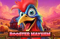 Rooster Mayhem